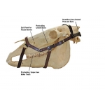 A Horseware Micklem Multi Bridle
